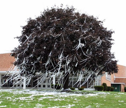 A large, mature tree with dense, dark foliage and twisted branches, situated on a grassy area in front of a residential building. The tree's leaves are a deep, almost black shade, contrasting sharply with the light green grass beneath it. Some fallen leaves and small twigs are scattered on the ground around the base of the tree. The background features a brick building with white-framed windows and a garage door, partially visible behind the tree. The overall scene appears to be outdoors in a suburban or residential area, with natural daylight illuminating the scene. This image may depict an environment where rubbish or garden waste could be generated, relevant to services provided by Commercial Waste Berkhamsted for waste removal or garden clearance.